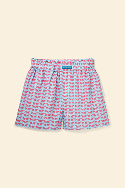 Lough Elephant Boxer