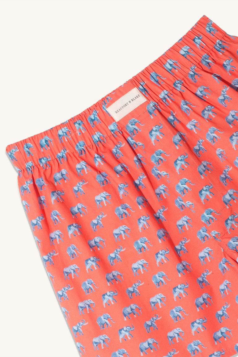Savannah Elephant Coral Boxer Shorts