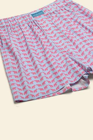 Lough Elephant Boxer