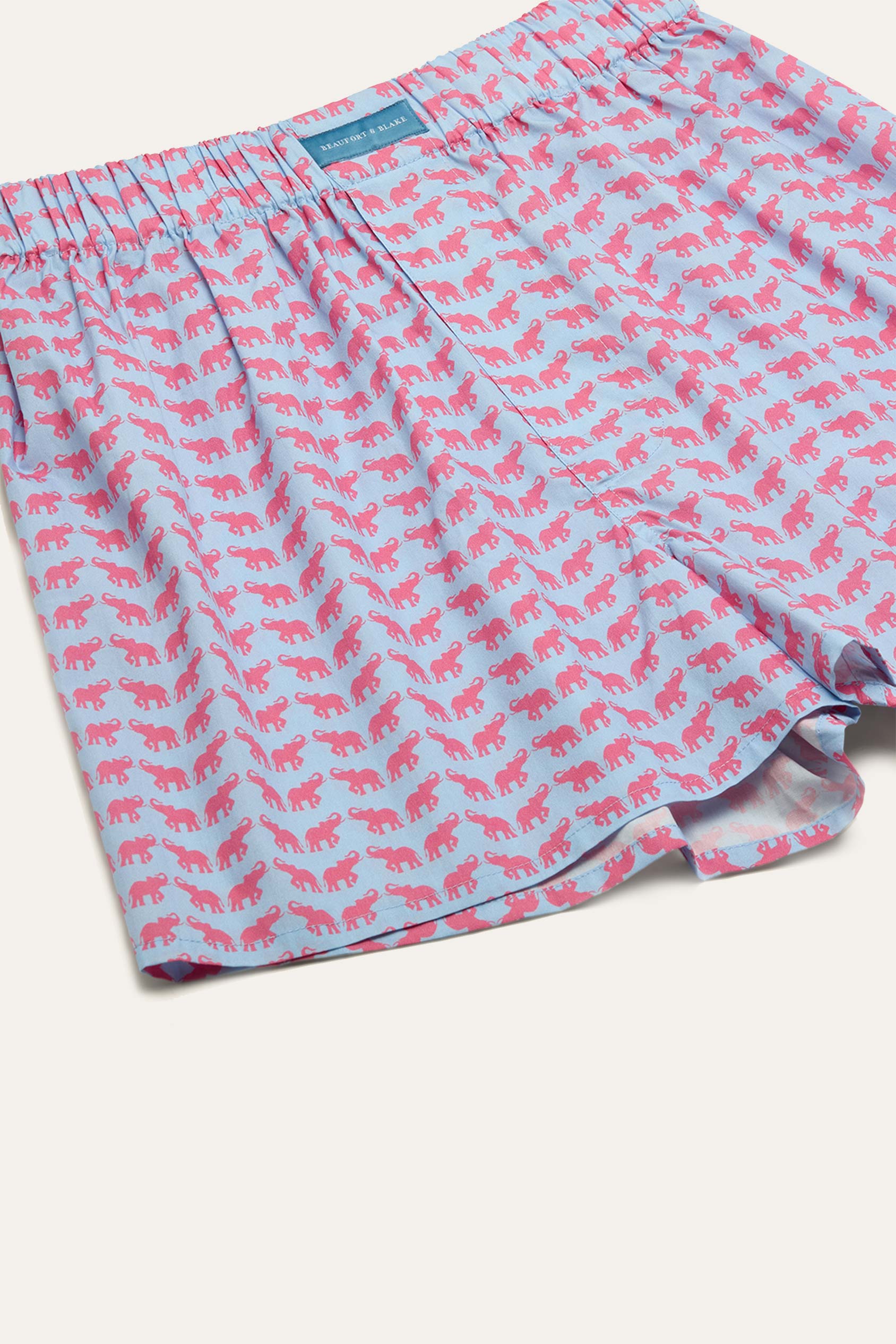 Lough Elephant Boxer