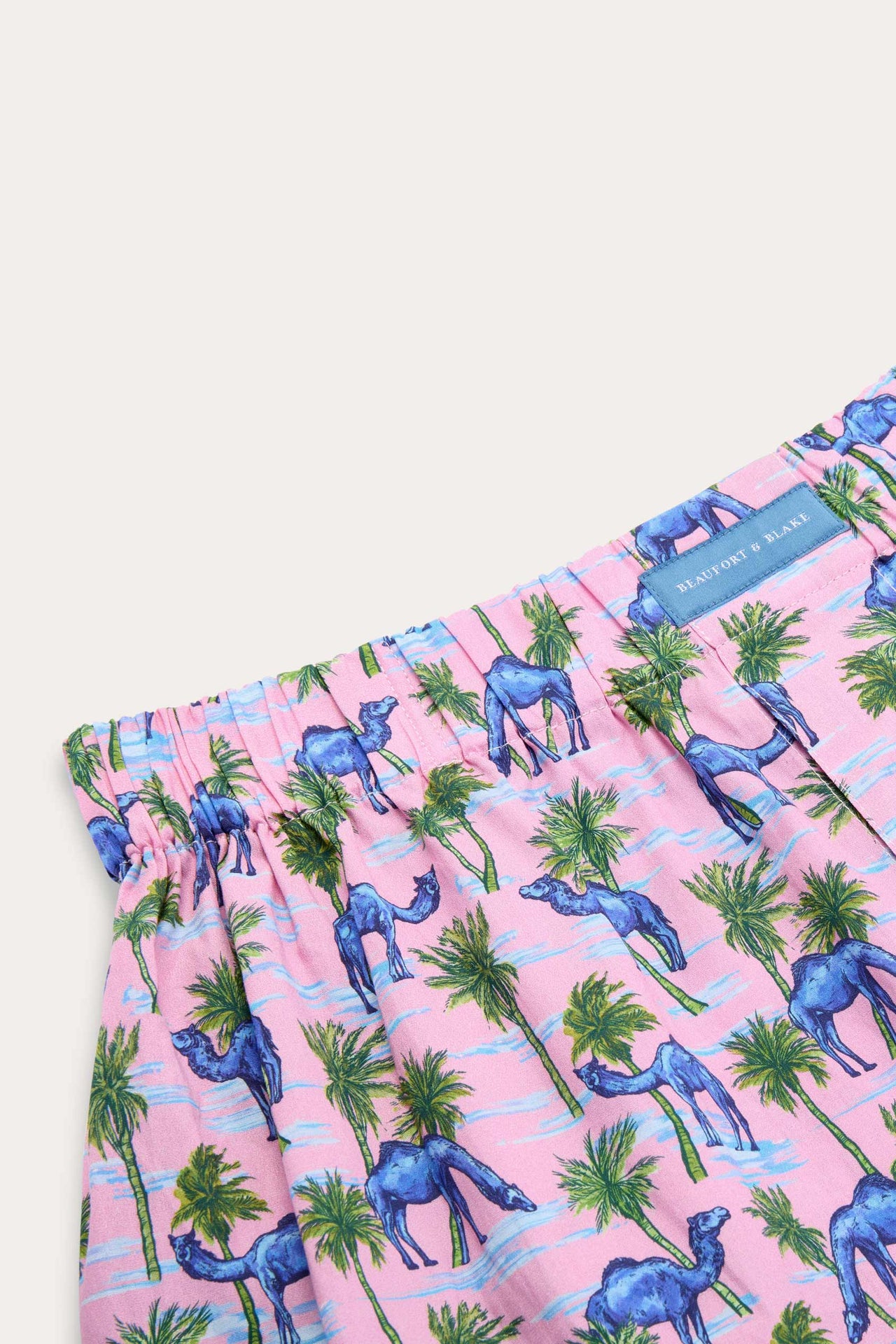 Oasis Camel Boxer