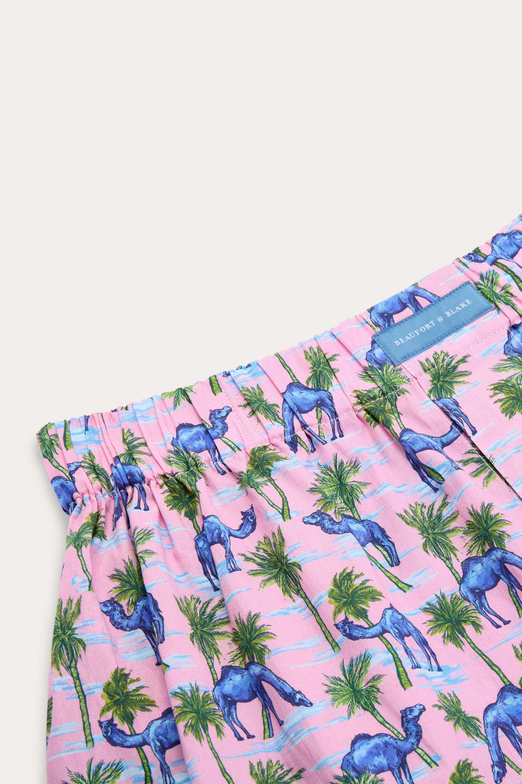 Oasis Camel Boxer