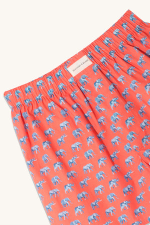 Savannah Elephant Coral Boxer Shorts