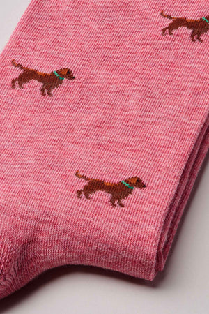 The Friend Sock