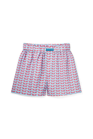 Lough Elephant Boxer