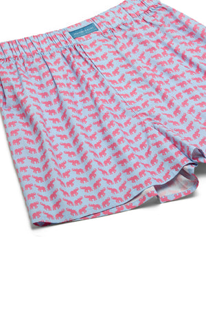 Lough Elephant Boxer