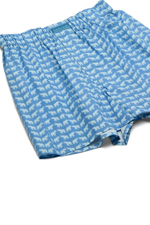 Lough Elephant Boxer