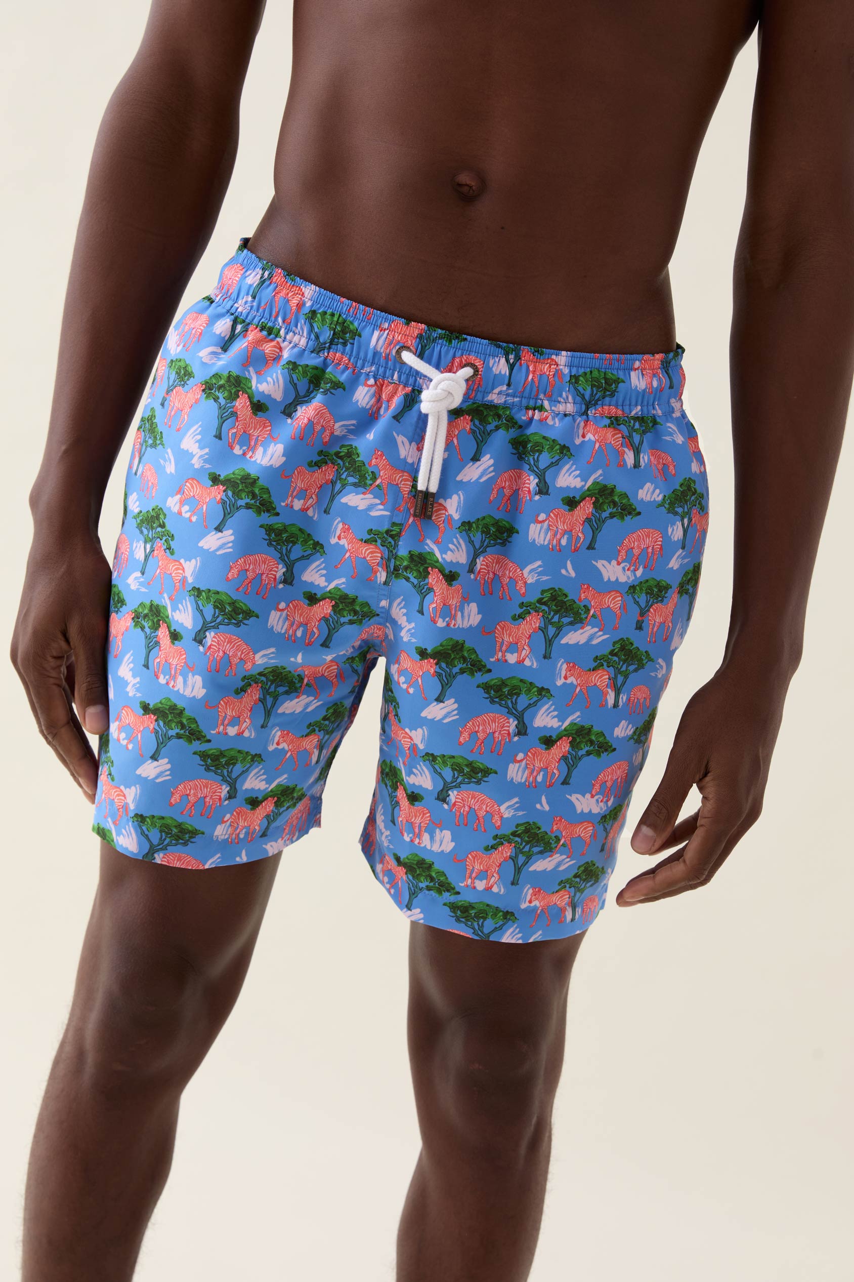 Mountain Zebra Cobalt Swim Shorts
