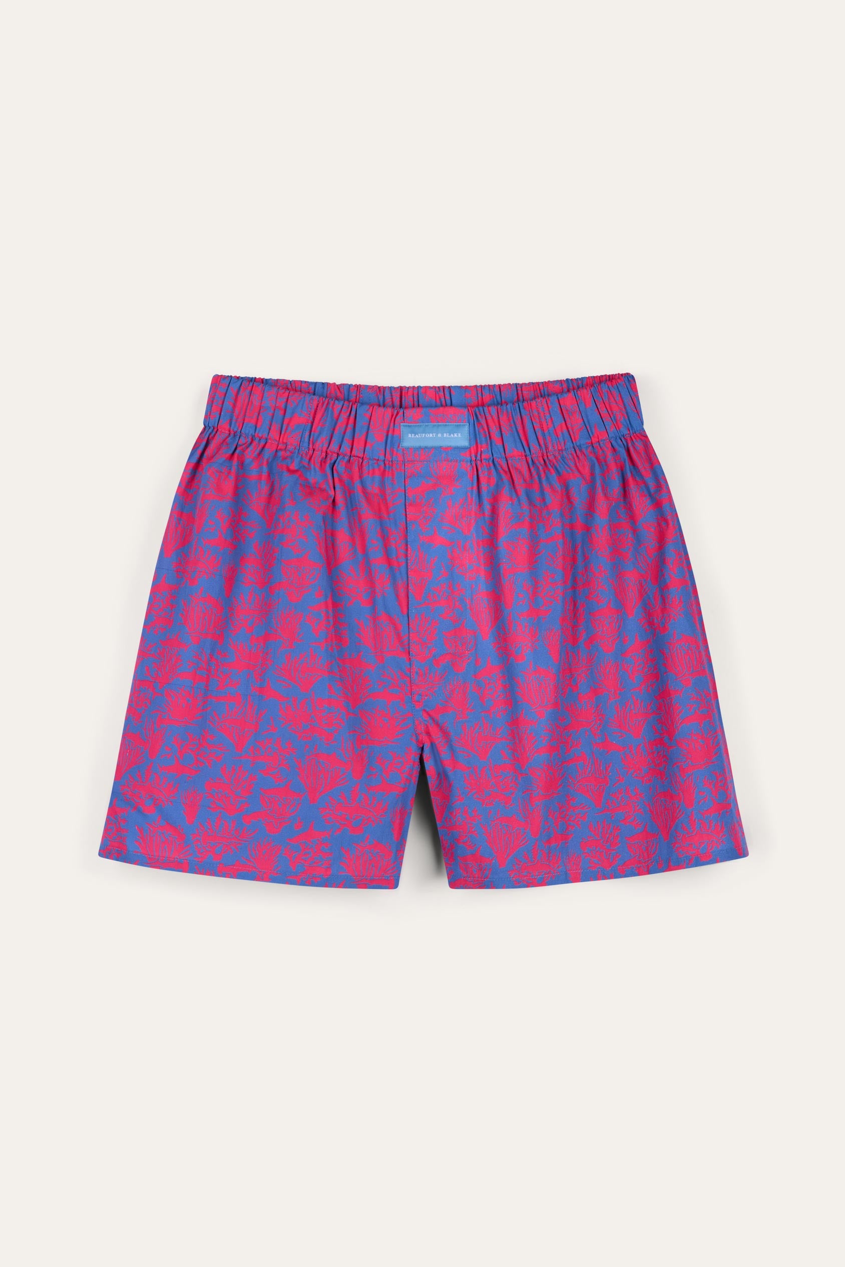 Hammerhead Reef Boxer