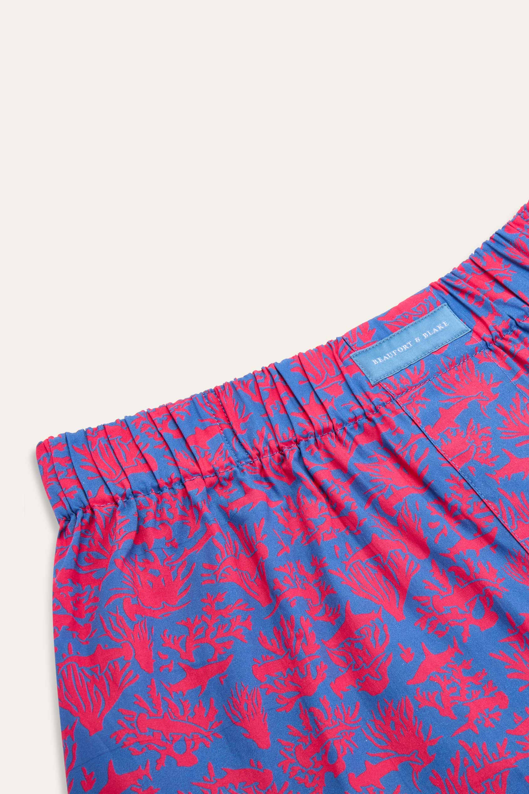 Hammerhead Reef Boxer