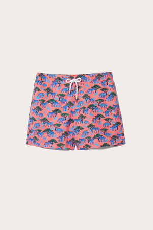 Mountain Zebra Coral Swim Shorts
